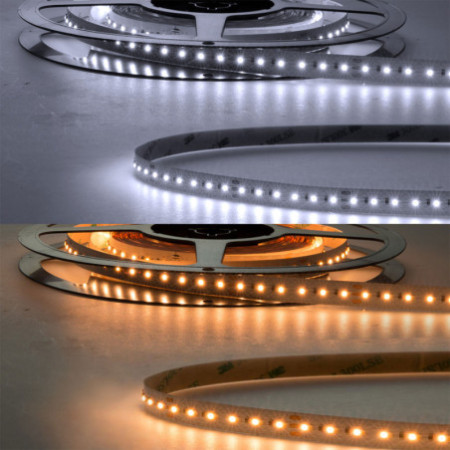 LED CRI923/950 Linear10 CCT Flexband, 24V DC, 10W+10W, IP20, 5m Rolle, 240 LED/m