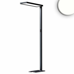 LED Office Pro Stehleuchte Up&Down, 80W+20W, schwarz, UGR unter 19, neutralweiß, Touch-Dimm