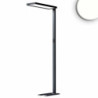 LED Office Pro Stehleuchte Up&Down, 80W+20W, schwarz, UGR unter 19, neutralweiß, Touch-Dimm