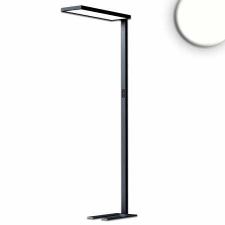 LED Office Pro Stehleuchte Up&Down, 80W+20W, schwarz, UGR unter 19, neutralweiß, Touch-Dimm
