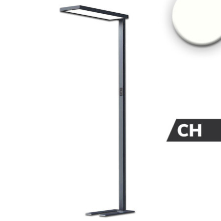 LED Office Pro Stehleuchte Up&Down, 80W+20W, schwarz, UGR unter 19, neutralweiß, Touch-Dimm, CH-Stecker
