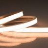 LED NEON FC927 Flexband B13H08, 24V DC, 12W, IP54, 2700K, 5m Rolle, 240LED/m, inkl. Montageclips
