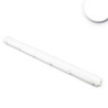 LED Wannenleuchte 150cm, IP65, PowerSwitch 33-60W, 4000K