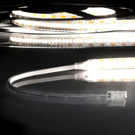 LED CRI940 MiniAMP Flexband, 12V DC, 12W, IP20, 4000K, 250cm, beids. 30cm Kabel + maleAMP, 300 LED/m