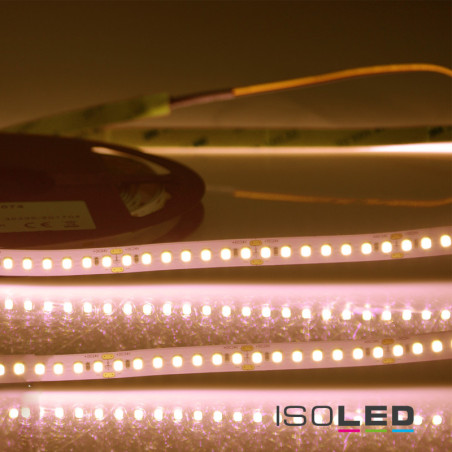 LED CRI Food Flexband Bread, 24V DC, 14,4W, IP20, 5m Rolle, 140 LED/m