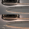 LED CRI919/940 MiniAMP CCT Flexband, 12V DC, 15W, IP20, 120cm, 2 polig, Kabel mit Stecker, 240 LED/m