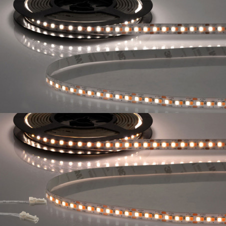 LED CRI919/940 MiniAMP CCT Flexband, 12V DC, 15W, IP20, 250cm, 2 polig, Kabel mit Stecker, 240 LED/m