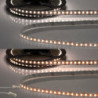 LED CRI919/940 MiniAMP CCT Flexband, 12V DC, 15W, IP20, 250cm, 2 polig, Kabel mit Stecker, 240 LED/m