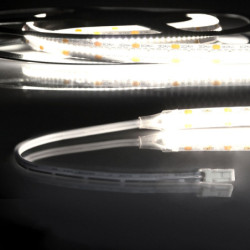 LED CRI940 MiniAMP Flexband, 24V DC, 12W, IP20, 4000K, 250cm, beids. 30cm Kabel + maleAMP, 300 LED/m
