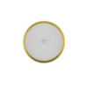 LED Ceiling Light RGBW Air Gold