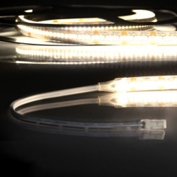 LED CRI930 MiniAMP Flexband, 24V DC, 6W, IP20, 3000K, 250cm, beids. 30cm Kabel + maleAMP, 300 LED/m