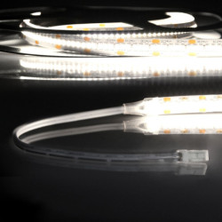 LED CRI940 MiniAMP Flexband, 24V DC, 6W, IP20, 4000K, 250cm, beids. 30cm Kabel + maleAMP, 300 LED/m