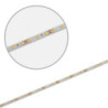LED CRI919/940 MiniAMP CCT Flexband, 12V DC, 8W, IP20, 250cm, 2 polig, Kabel mit Stecker, 126 LED/m