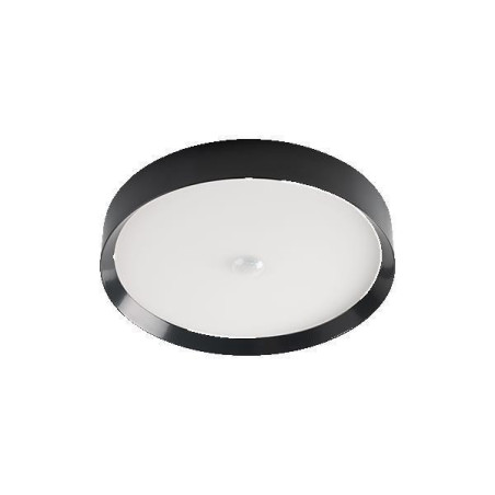 LED Ceiling Light RGBW Tree Anthrazit