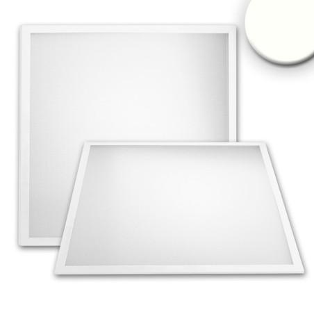 LED Panel Professional Line 600 UGR unter 19 4H/8H, 36W, Rahmen weiß RAL 9016, neutralweiß