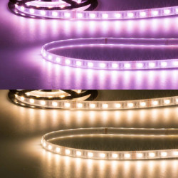 LED AQUA RGB+WW Flexband, 24V DC, 19W, IP67, 4in1 chip, 5m Rolle, 60 LED/m