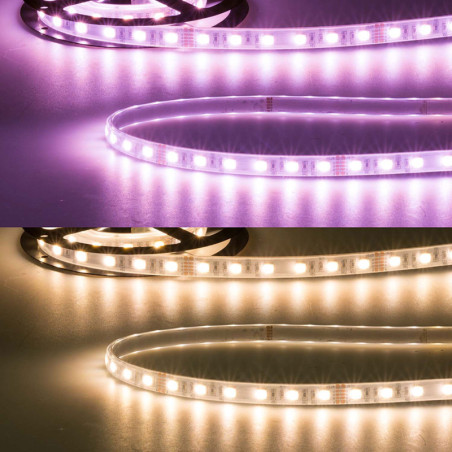 LED AQUA RGB+WW Flexband, 24V DC, 19W, IP67, 4in1 chip, 5m Rolle, 60 LED/m
