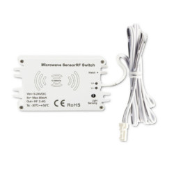Sys-Pro Funk HF-Bewegungsmelder MiniAMP, 9-24V