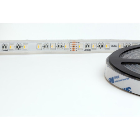 RGBW LED Streifen 5m IP68 (wasserfest)