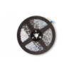 LED Streifen Tunable White IP20 (berührungssicher)