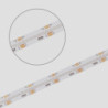 LED COB RGB+3000K Linear Flexband, 24V DC, 20W, IP20, 5m Rolle, 896 LED/m