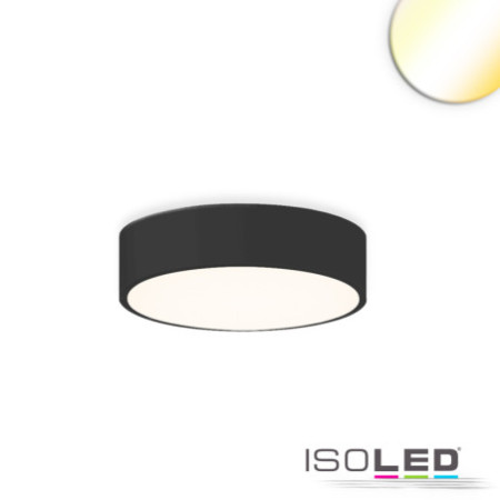 LED Deckenleuchte UGR unter 19 2H, schwarz, 30W, IP44, DN400, ColorSwitch 2700|3000|4000K, DALI dimmbar