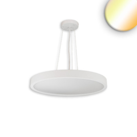 LED Hängeleuchte UGR unter 19 2H, weiß, 42W+6W, IP42, DN600, 2700|3000|4000K, DALI dimmbar, Up&Down