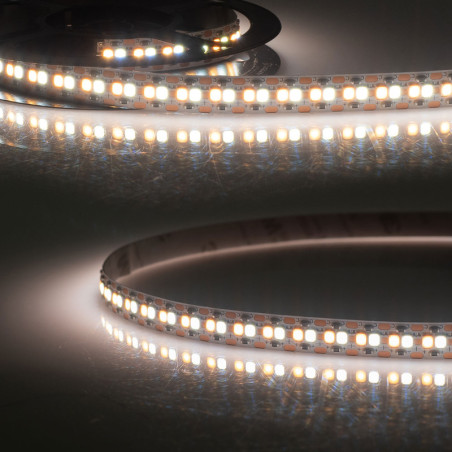 LED CRI923/960 Linear10 CCT Flexband, 24V DC, 10W+10W, IP20, 5m Rolle, 240 LED/m