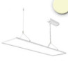 LED Office Hängeleuchte Up&Down, 20W+20W, 30x120cm, weiß, UGR unter 19, 3000K, dimmbar