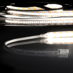 LED CRI940 MiniAMP Flexband, 12V DC, 6W, IP20, 4000K, 120cm, beids. 30cm Kabel + maleAMP, 300 LED/m