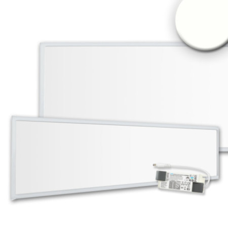 LED Panel Business Line 1200 UGR unter 19 2H/2H, 36W, weiß RAL9016, neutralweiß, PowerSwitch 21-40W