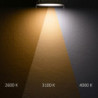 LED Downlight, 24W, ultraflach, ColorSwitch 2600|3100|4000K, dimmbar
