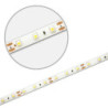 LED SIL845 Flexband, 12V DC, 4,8W, IP66, 4500K, 5m Rolle, 60 LED/m