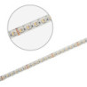 LED SIL RGB+WW Flexband, 24V DC, 19W, 4in1 Chip, 5m Rolle, 96 LED/m