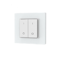 Sys-Pro Single Color 2 Zonen Aufputz-Tast-Fernbedienung mit Batterie