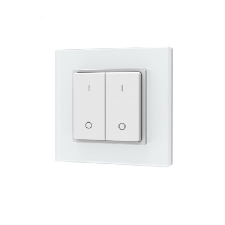 Sys-Pro Single Color 2 Zonen Aufputz-Tast-Fernbedienung mit Batterie