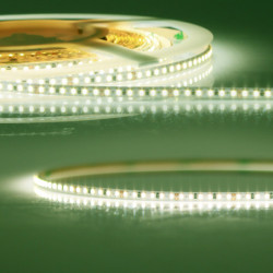 LED CRI841 Flexband, 24V DC, 15W, IP20, Lime, 4100K CRI80, 5m Rolle, 120 LED/m