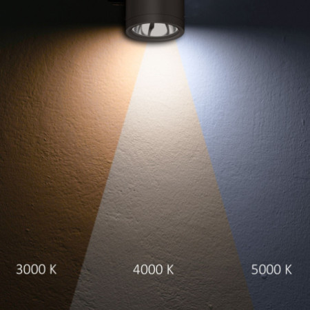 LED Deckenaufbaustrahler IP65, schwarz, 10W, ColorSwitch 3000|4000|5000K, dimmbar