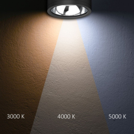 LED Deckenaufbaustrahler IP65, schwarz, 25W, ColorSwitch 3000|4000|5000K, dimmbar