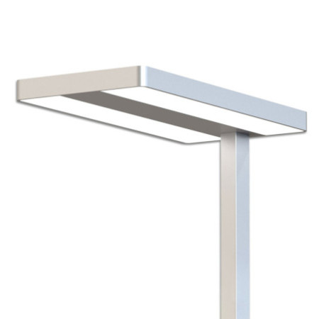 LED Office Pro Stehleuchte Up&Down, 40W+40W, UGR unter 19, silber, neutralweiß, Dimm-Regler, CH-Stecker