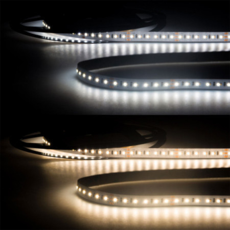 LED CRI930/960 Linear10 CCT Flexband, 24V DC, 10W+10W, IP20, 5m Rolle, 240 LED/m