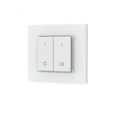 Sys-Pro Single Color 2 Zonen Aufputz-Tast-Fernbedienung mit Batterie